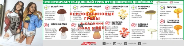 прущая мука Дмитров