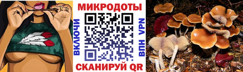 Купить  Аша  Псилоцибиновые грибы Psilocybine cubensis 
